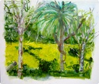 Rainforest av Tonie Roos