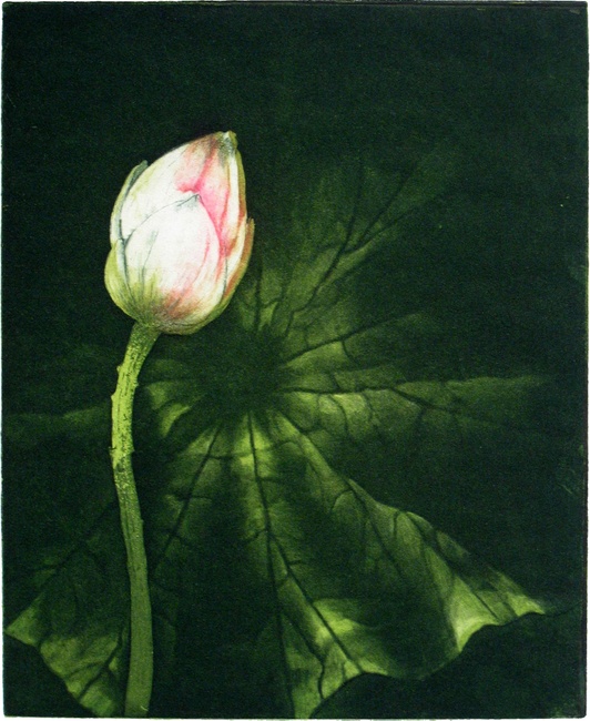 Lotus av Gunilla Widholm